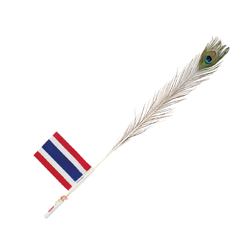 ชุดหางนกยูง+หลอด+ธงชาติ Peacock Flower+Tube+Thai Flag